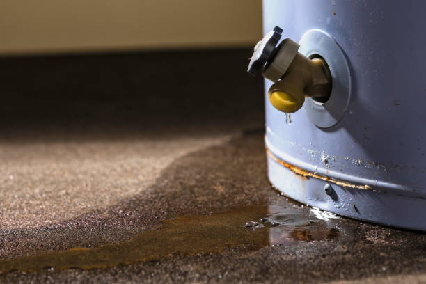 Best Sewage cleanup and water damage restoration  in Continental, OH