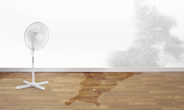 Best Residential water damage restoration  in Continental, OH